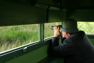 Man looking through binoculars in a birdwatching hideout