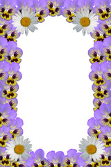 Framework from flowers on a white background.