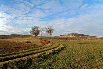 chemin dans la campagne
