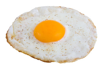 Fried Egg