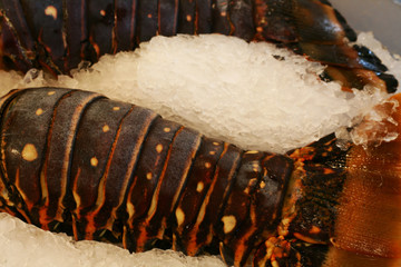 lobster tail