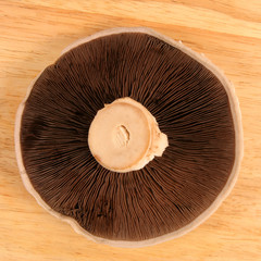Flat mushroom on wooden board