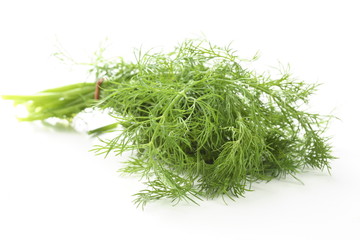 Ein Bund Dill vor weißem Hintergrund
