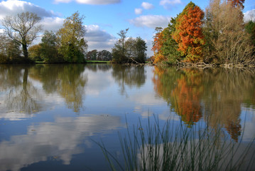 Autumn lake scene showing a strong reflection from the water
