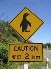 Strassenschild Pinguin