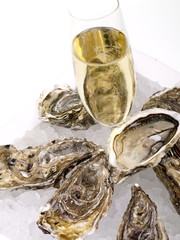 austern mit champagner
