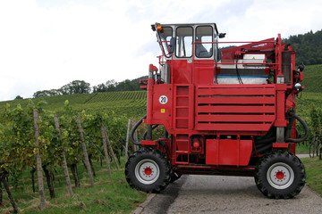 Vollernter