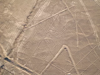 Foto op Aluminium Nazca Lines Peruvian Desert © Jgz