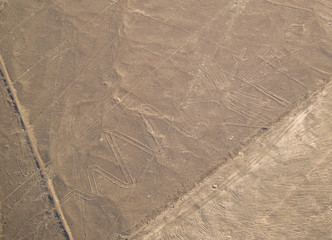 Nazca Lines Peruvian Desert