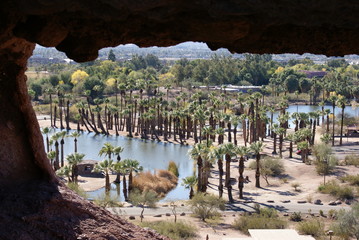 Desert oasis view from cave