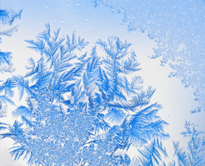 Ice flowers 10