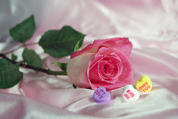 Love, Me