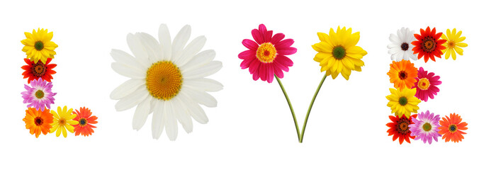 Word "love" composed of fresh daisies.