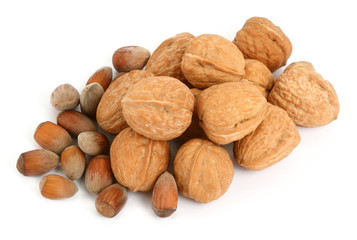 group of walnuts and hazelnuts against white background, 