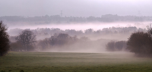 Paysage sous la brume