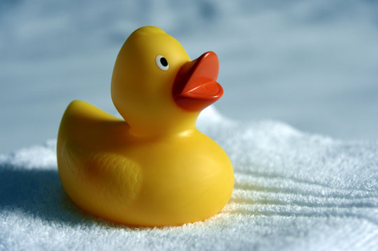 Gummi Gummiente Holz Quitscheente Quitscheenten Schwimmente Schw