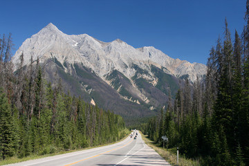 Straight scenic road in British Columbia, Canada