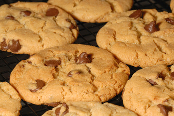 Chocolate Chip Cookies