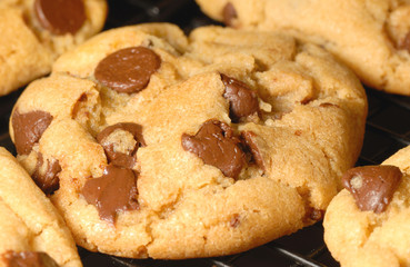 Chocolate Chip Cookies