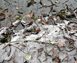 Ground with mixture of leaves, mud and snow 