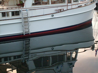 coque et reflet