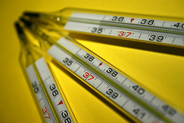 thermometers 