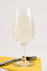 italian wines, a glass of wine