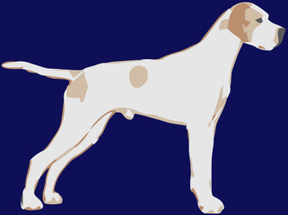 cão