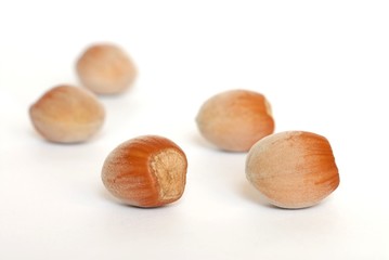 Hazel Nuts