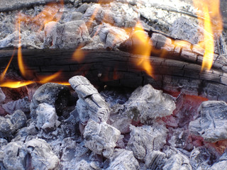 Hot Flames and White Ashes of Black Burned Wooden Logs