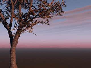 Tree on Horizon