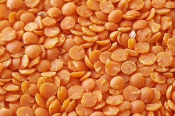 orange/red lentil seeds