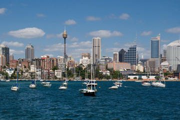 Fototapeta na wymiar Sydney sky-skrobaczki