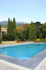 Pool with the blue water in the garden