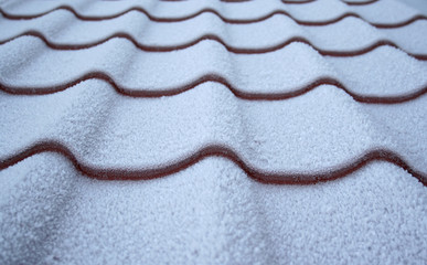 Roof from a metal tile covered by hoarfrost