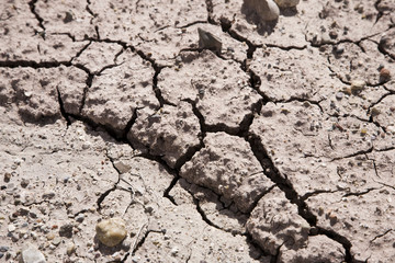Cracked Earth