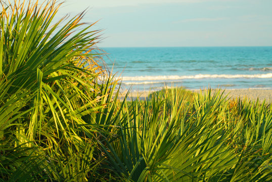 Floryda Beaches