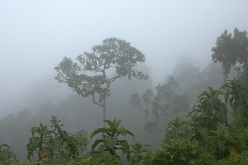African landscape. National Park 