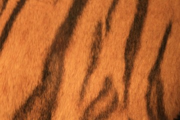 Tiger Skin