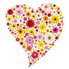 Valentine heart made from colorful spring daisies.