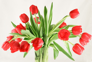 Bouquet of red tulips in glas vase isolated on white background
