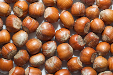 whole shelled hazelnut background