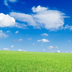 The field and clouds.
