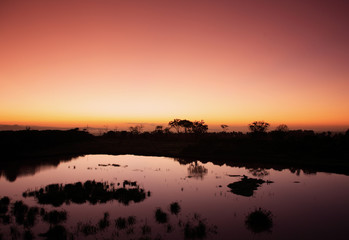 Obraz na płótnie Canvas Wcześnie rano kenijski wschód słońca nad wodopoju.