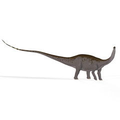 Brontosaurus with clipping path