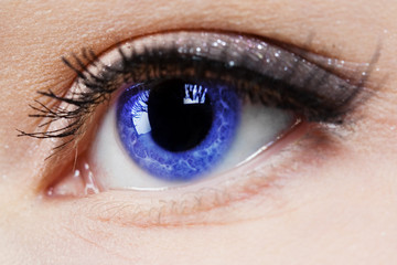 very sharp and detail macro of eye