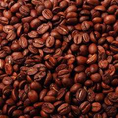 fresh coffee beans background