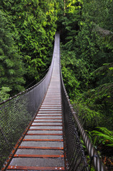 Fototapeta na wymiar Lynn Canyon zawiesinie most, Vancouver
