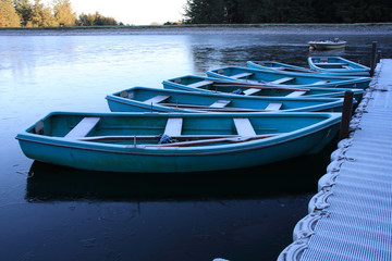 Rowing boats frozen into the pond in the winter