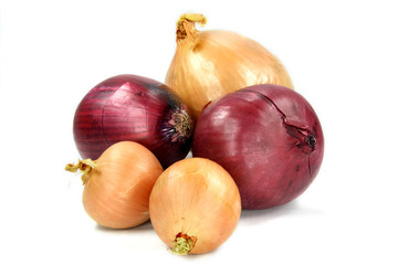 Onion assorts. Bulbs of red and yellow onion.